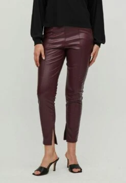 Vila Broek - Winetasting