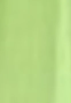 A-Lijn Rok - Light Lime 13 A-Lijn Rok - Light Lime -Only Mode Winkel 6a64a47d9310471fbc3bd89469fac764