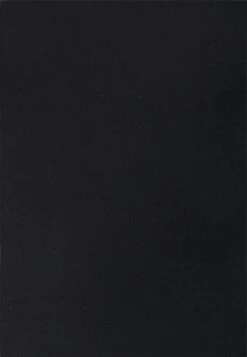 Schiesser 2Pack Unterhemd Organic Cotton - 95/5 - Hemd - Black -Only Mode Winkel af5641b3c20e4c3ab450a0156843c0f6